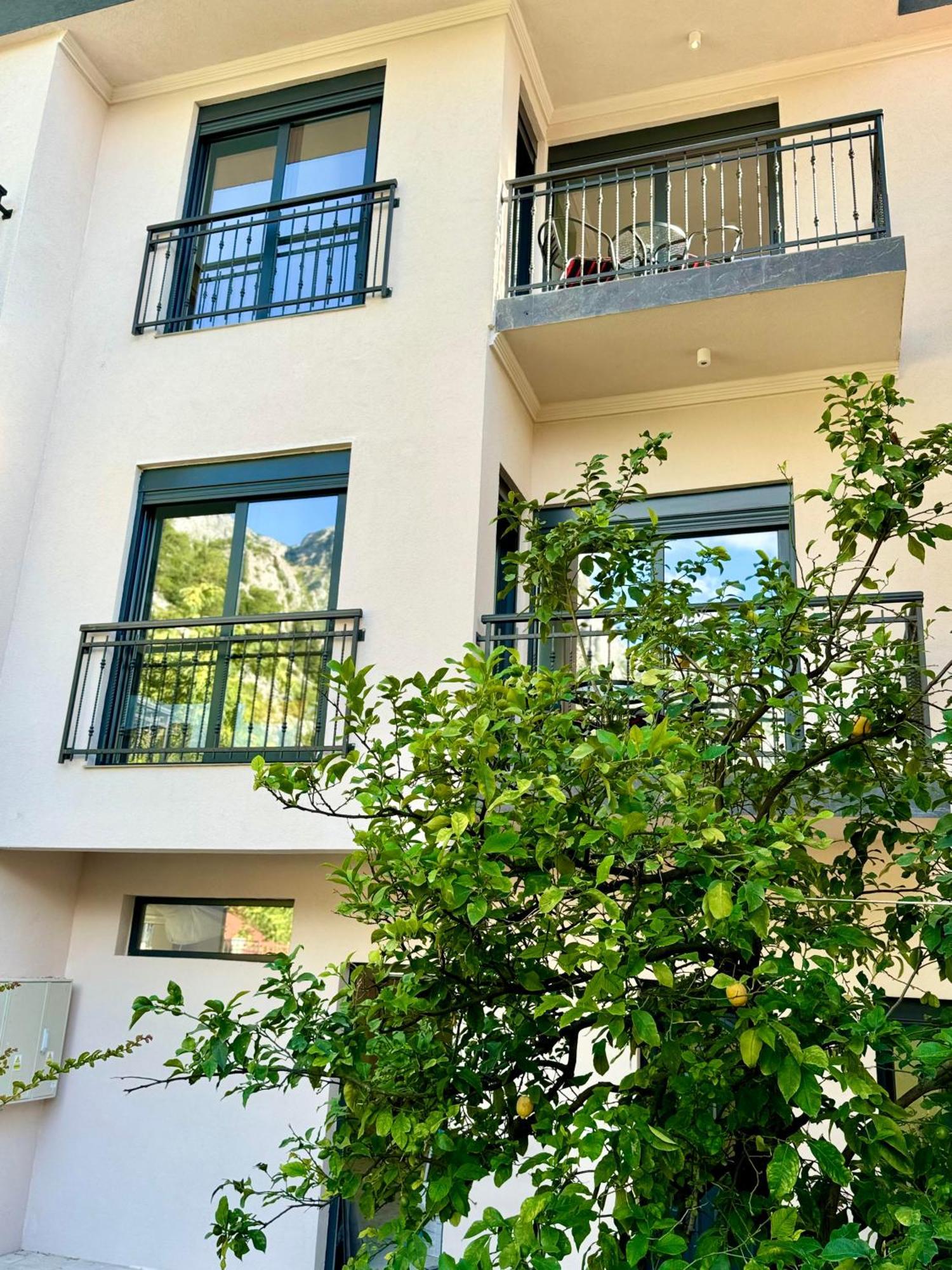Harmony Garden Apartments Kotor Exteriör bild