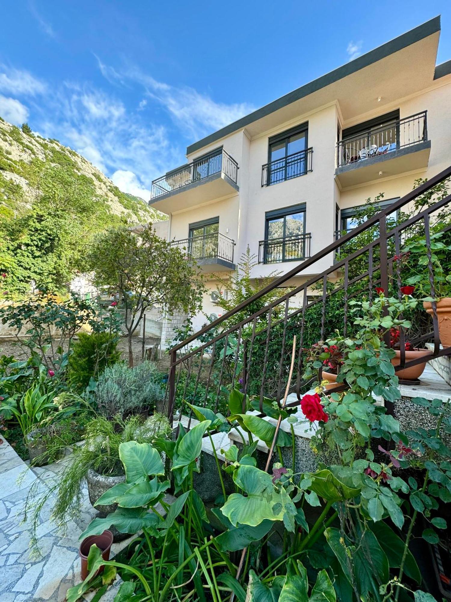 Harmony Garden Apartments Kotor Exteriör bild